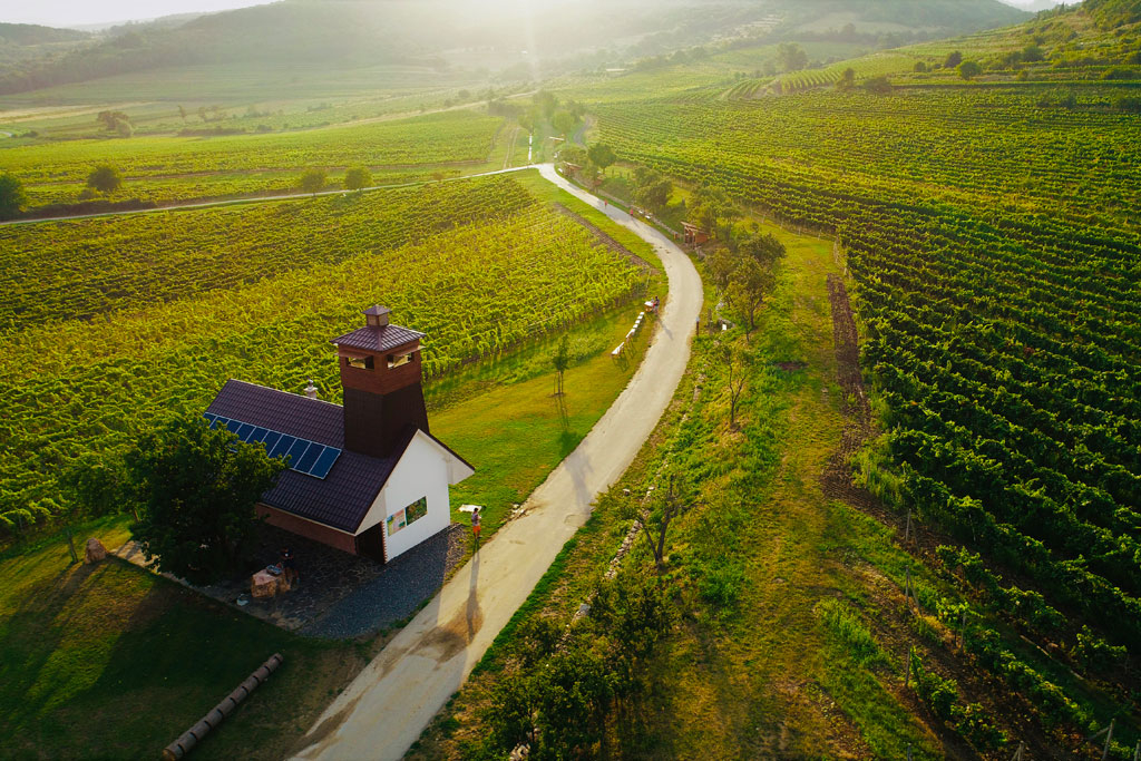 Afternoon option A:<br><h4>Wine tasting tour in Small Carpathian region near Bratislava</h4>