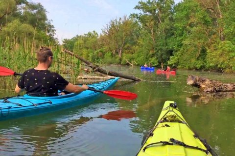 Explore Danube wilderness
